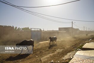 منطقه گاومیش آباد در اهواز